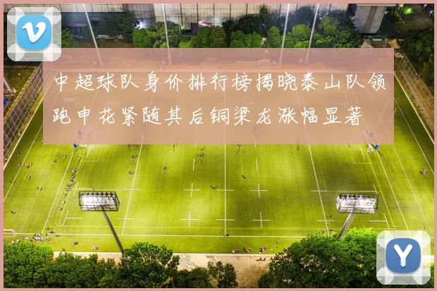 中超球队身价排行榜揭晓泰山队领跑申花紧随其后铜梁龙涨幅显著